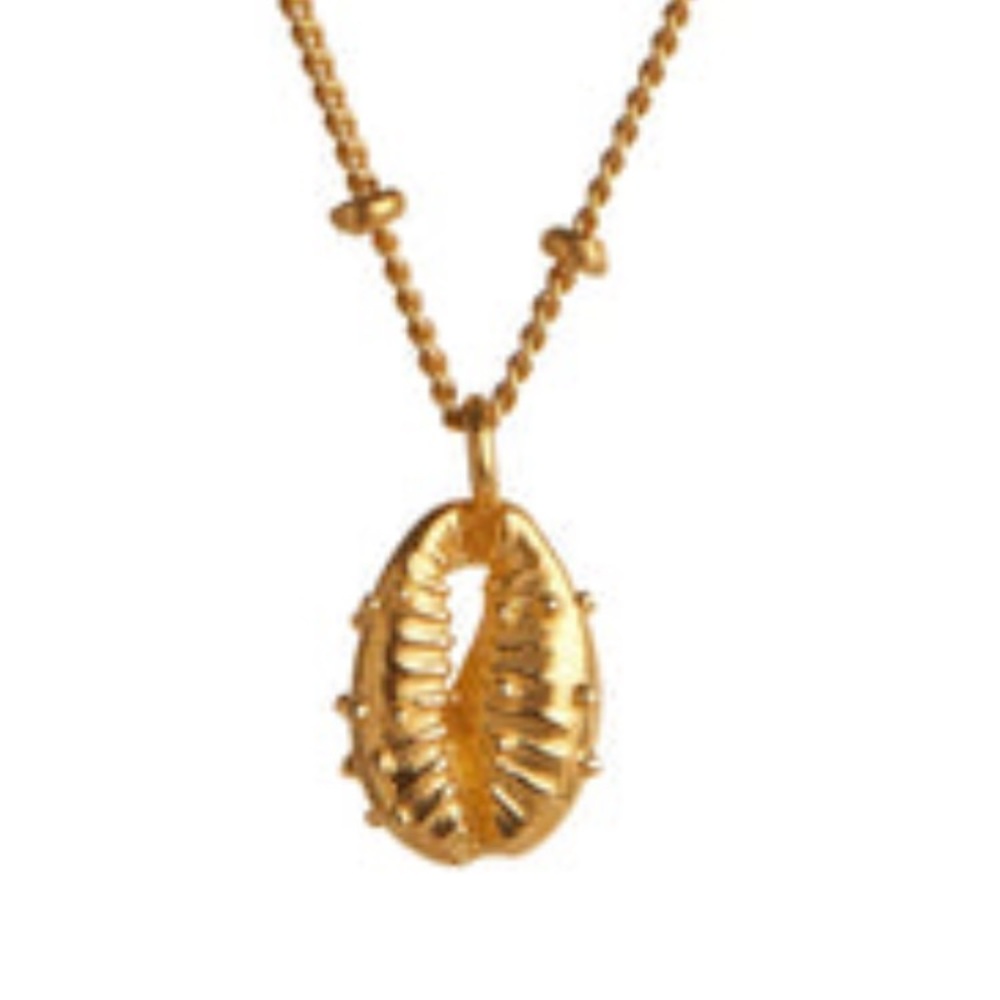 Elegant Gold Cowrie Shell Necklace